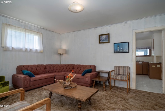 118 SW Brook St, Newport, OR 97365 - view of carpeted living area