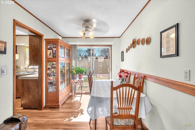 dining room featuring ceiling fan, ornamental molding, light wood finished floors, and a textured ceiling