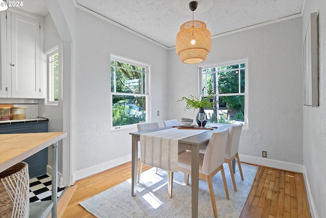 dining area featuring light wood finished floors, a textured wall, and plenty of natural light