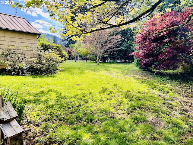 42799 Leaburg Dr, Walterville, OR 97489 - view of yard