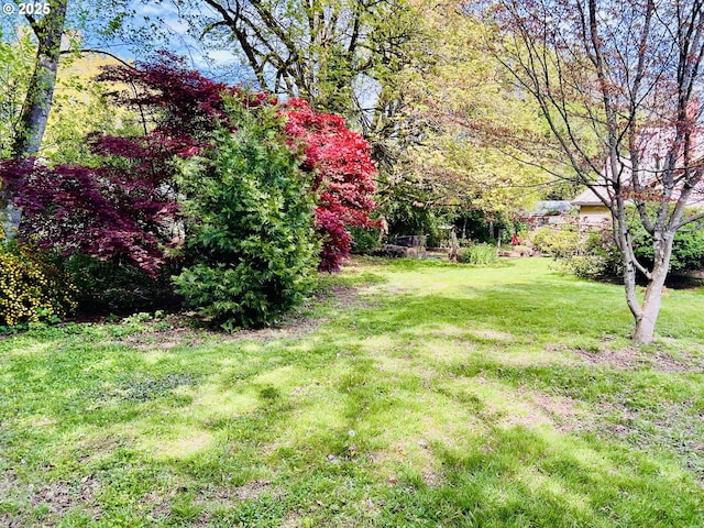 42799 Leaburg Dr, Walterville, OR 97489 - view of yard