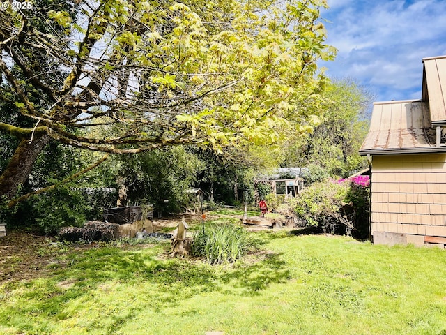 42799 Leaburg Dr, Walterville, OR 97489 - view of yard