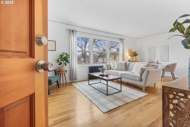 living area featuring light wood finished floors and radiator