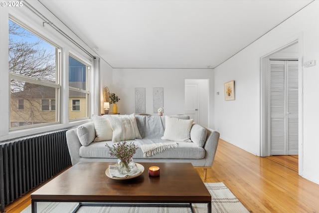 living room with light wood-type flooring