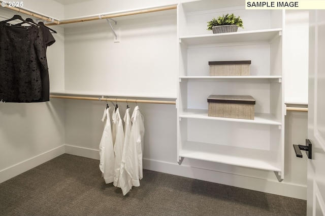 1403 N 41st Pl, Ridgefield, WA 98642 - walk in closet with dark colored carpet