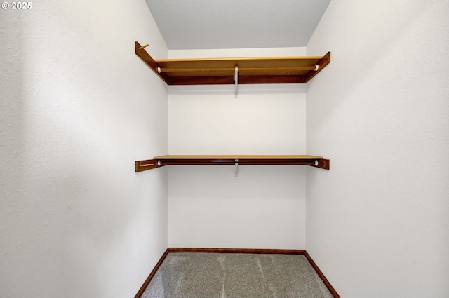 915 Marquet Way, Eugene, OR 97401 - spacious closet with carpet