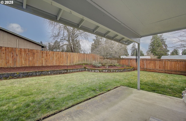 view of yard with a patio and a fenced backyard