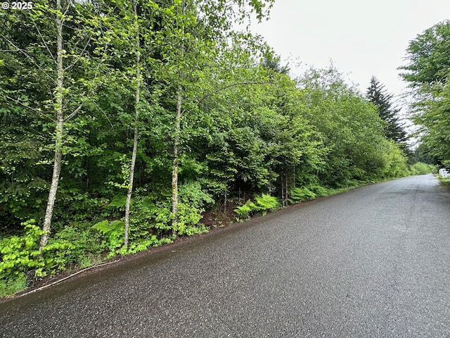 NE Lessard Rd, Camas, WA 98607