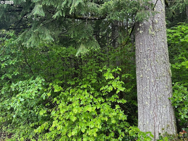 NE Lessard Rd, Camas, WA 98607