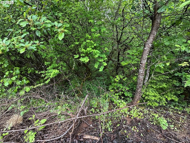 NE Lessard Rd, Camas, WA 98607