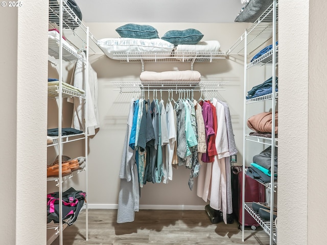 walk in closet featuring wood finished floors