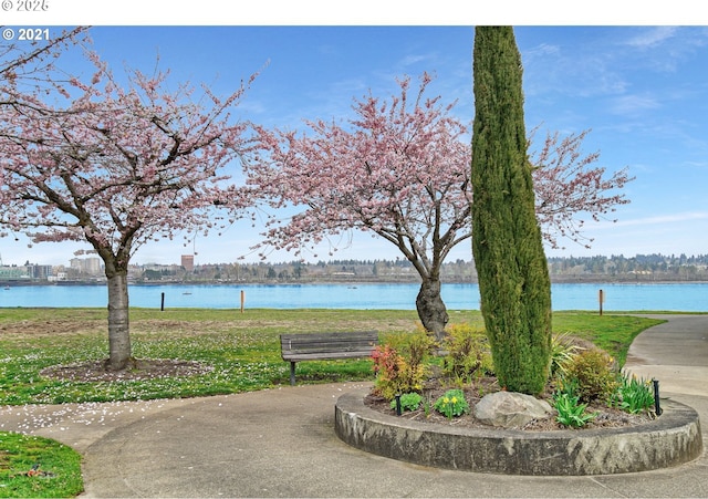 view of community featuring a water view and a lawn