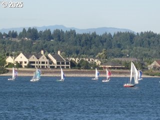 water view with a view of trees