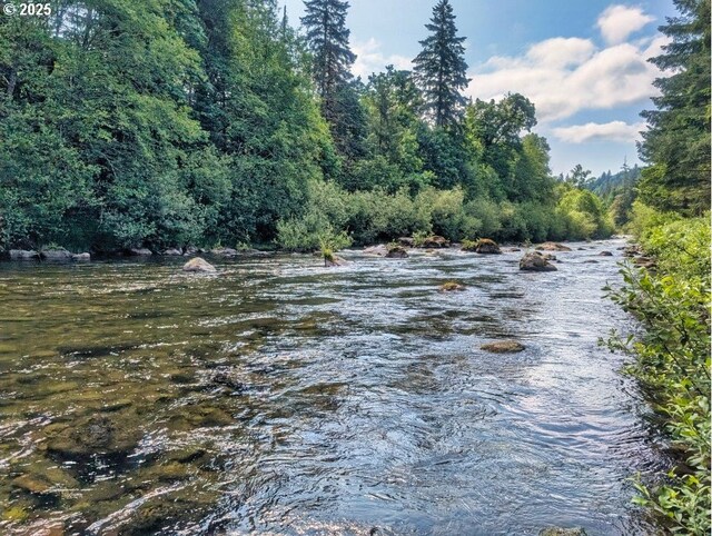 24940 E Tillicum St, Welches, OR 97067 - water view featuring a forest