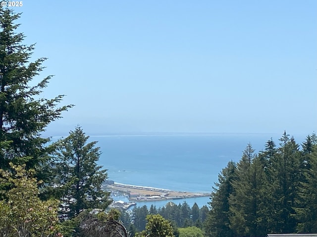 97661 Marina Heights Loop, Brookings, OR 97415 - water view