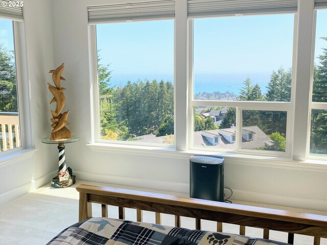 97661 Marina Heights Loop, Brookings, OR 97415 - detailed view