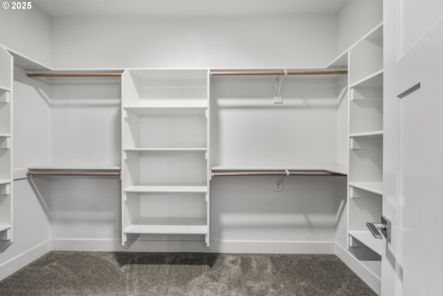2522 S Lydia Loop, Hubbard, OR 97032 - spacious closet with carpet floors