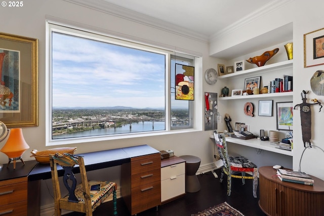 office featuring ornamental molding, dark wood-style floors, and a water view