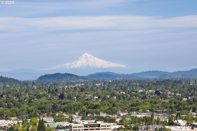 view of mountain backdrop featuring a heavily wooded area
