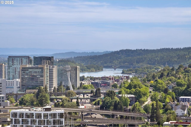 city view with a large body of water, a notable bridge, and a heavily wooded area