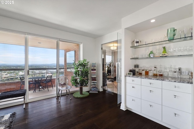 indoor dry bar with dark wood-style flooring and recessed lighting