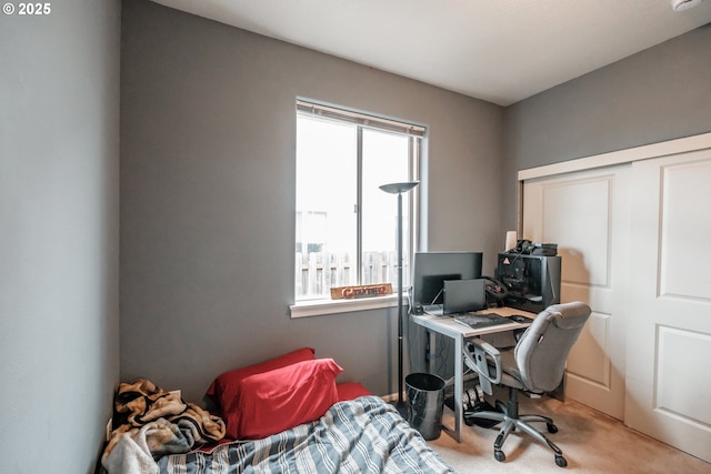 carpeted home office with a wealth of natural light