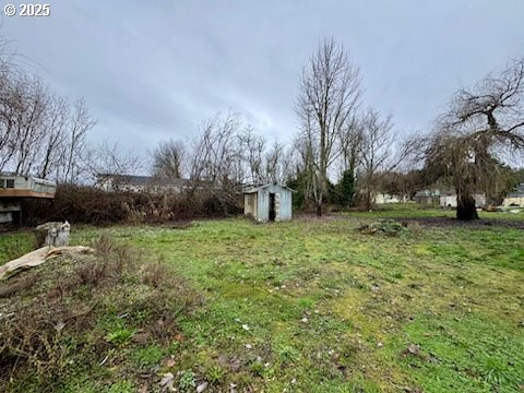 view of yard with a shed