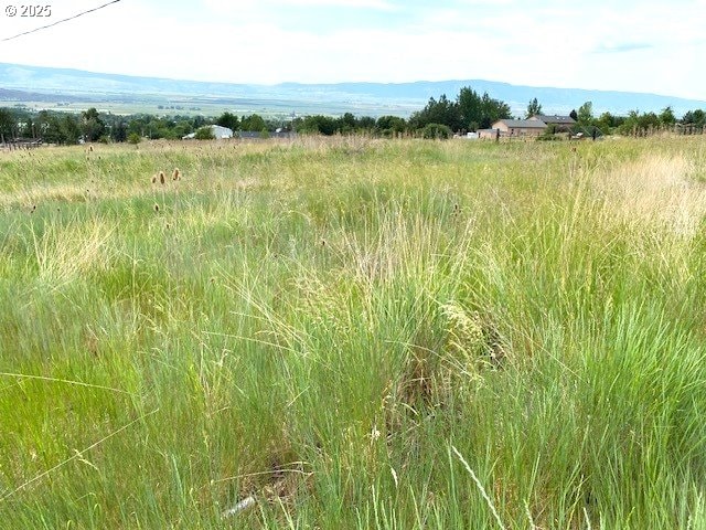 0 Stackland, Cove, OR 97824