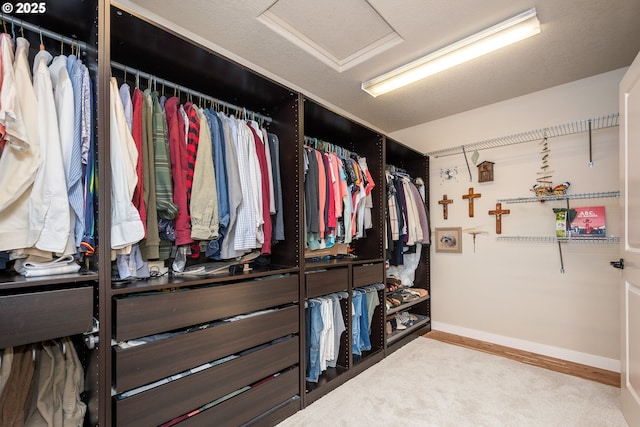 spacious closet with hardwood / wood-style flooring