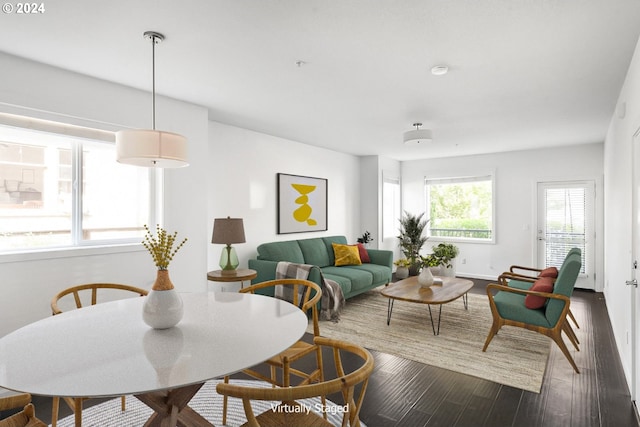 living room with dark hardwood / wood-style flooring