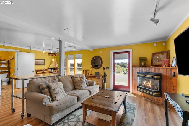 living room featuring rail lighting, wood finished floors, a glass covered fireplace, healthy amount of natural light, and crown molding