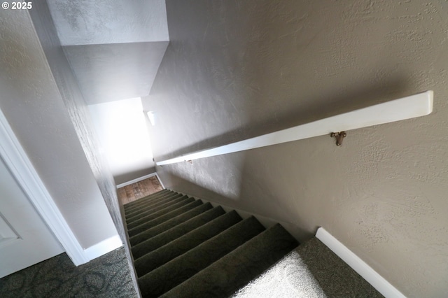 stairs with carpet floors