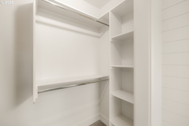 view of walk in closet