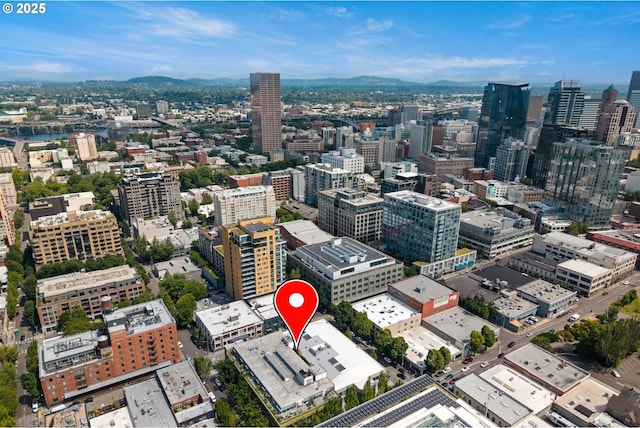 323 NW 13th Ave Unit 404, Portland, OR 97209 - view of city with a mountain backdrop