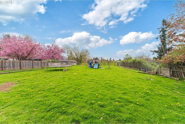 view of yard featuring a fenced backyard, a trampoline, and a playground