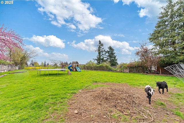 view of yard with a trampoline, a fenced backyard, and a playground
