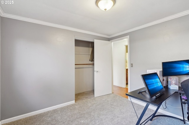 office featuring crown molding, baseboards, and carpet floors