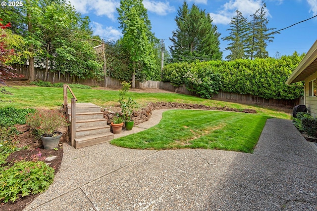 view of yard featuring a patio