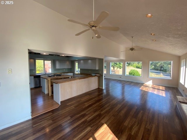 kitchen with open floor plan, dark wood-style flooring, healthy amount of natural light, a ceiling fan, and high vaulted ceiling