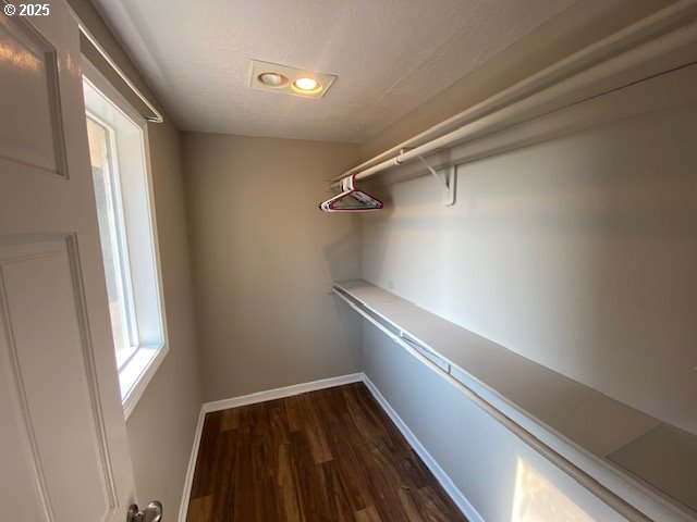 walk in closet featuring dark wood-type flooring