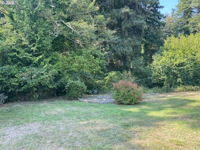 view of green lawn with a wooded view