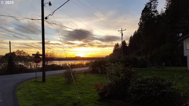 view of home's community with a water view and a lawn