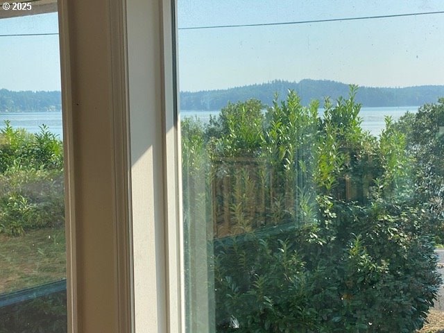 detailed view of a water view