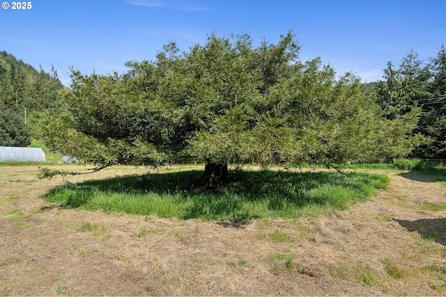view of nature featuring a view of trees