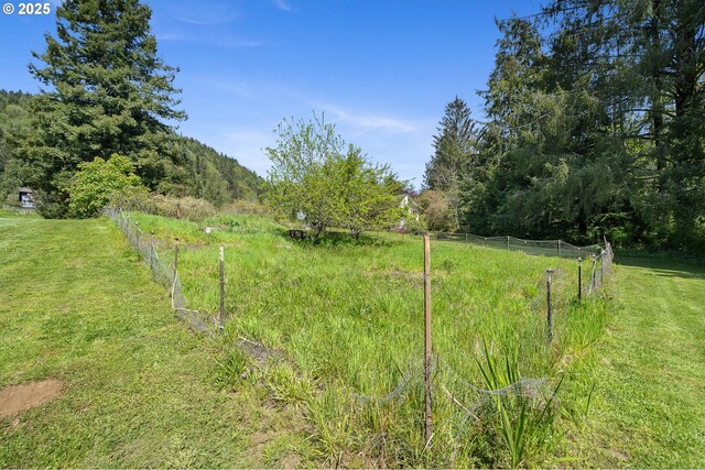view of yard with a forest view, a rural view, and fence