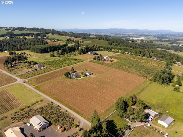 20700 SE Cherry Blossom Ln, Amity, OR 97101 - overview of rural landscape with rows of crops and mountains