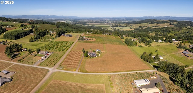 20700 SE Cherry Blossom Ln, Amity, OR 97101 - aerial view of sparsely populated area with rows of crops and a mountainous background