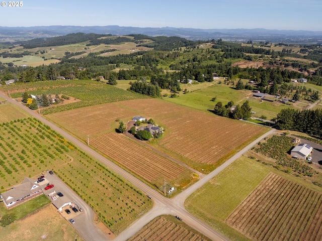 20700 SE Cherry Blossom Ln, Amity, OR 97101 - aerial view of sparsely populated area with rows of crops and a mountain backdrop