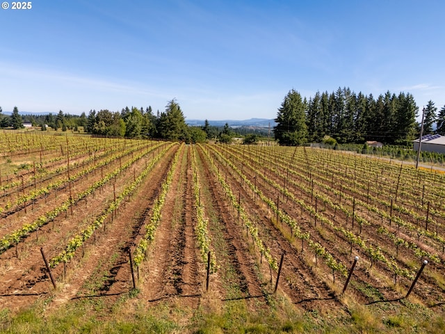 20700 SE Cherry Blossom Ln, Amity, OR 97101 - view of yard featuring agricultural area and a rural view