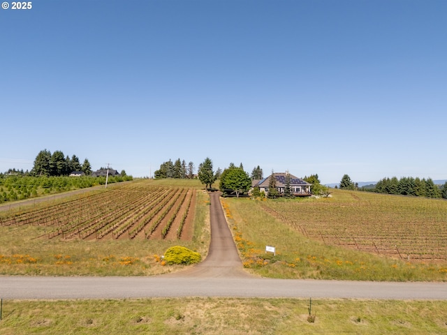 20700 SE Cherry Blossom Ln, Amity, OR 97101 - view of asphalt road with a rural view and agricultural plots